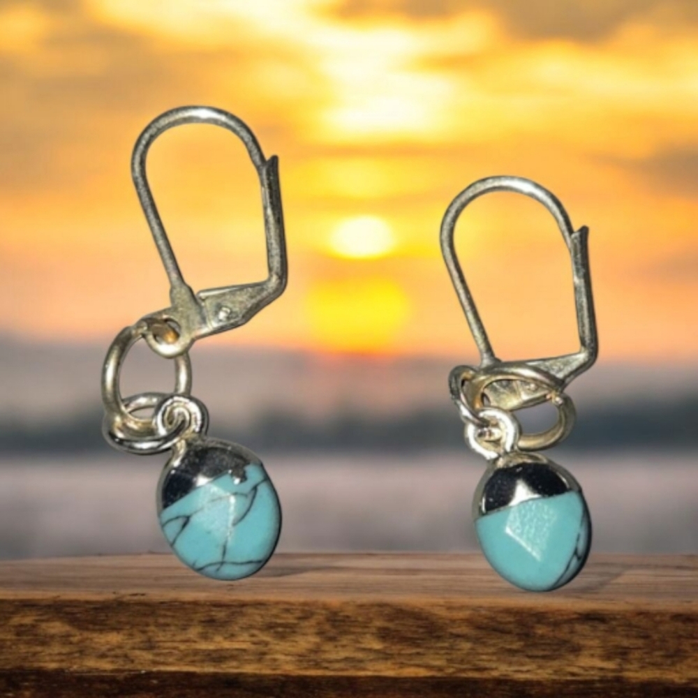 Elegant Turquoise and Silver Earrings